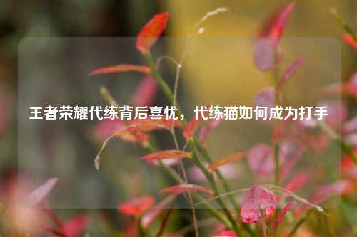 王者荣耀代练背后喜忧,代练猫如何成为打手