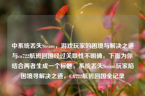 中系统丢失Steam，游戏玩家的困境与解决之道与ca722航班回国经过关联性不明确，下面为你结合两者生成一个标题，系统丢失Steam玩家陷困境寻解决之道，CA722航班回国全记录