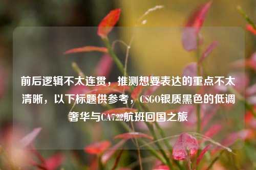 前后逻辑不太连贯，推测想要表达的重点不太清晰，以下标题供参考，CSGO银质黑色的低调奢华与CA722航班回国之旅