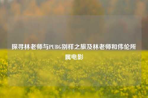 探寻林老师与PUBG别样之旅及林老师和伟伦所属电影