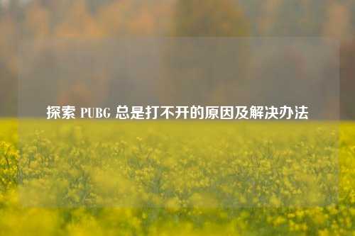 探索 PUBG 总是打不开的原因及解决办法