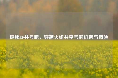 探秘CF共号吧,穿越火线共享号的机遇与风险