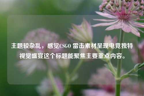 主题较杂乱,感觉CSGO 雷击素材呈现电竞独特视觉盛宴这个标题能聚焦主要重点内容。