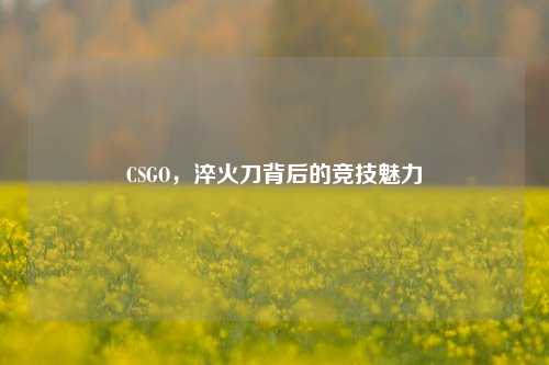 CSGO,淬火刀背后的竞技魅力