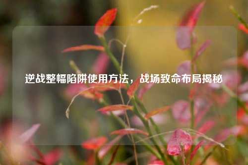 逆战整幅陷阱使用方法,战场致命布局揭秘