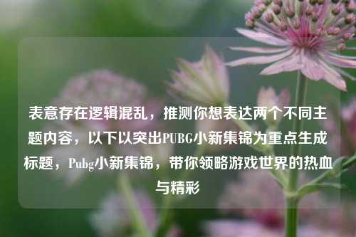 表意存在逻辑混乱,推测你想表达两个不同主题内容,以下以突出PUBG小新集锦为重点生成标题,Pubg小新集锦,带你领略游戏世界的热血与精彩