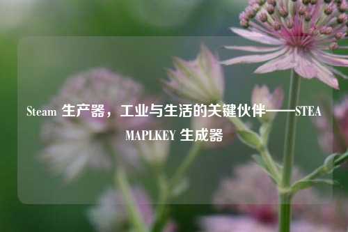 Steam 生产器,工业与生活的关键伙伴——STEAMAPLKEY 生成器