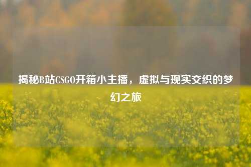 揭秘B站CSGO开箱小主播,虚拟与现实交织的梦幻之旅