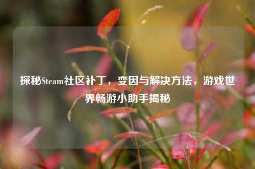 探秘Steam社区补丁，变因与解决方法，游戏世界畅游小助手揭秘