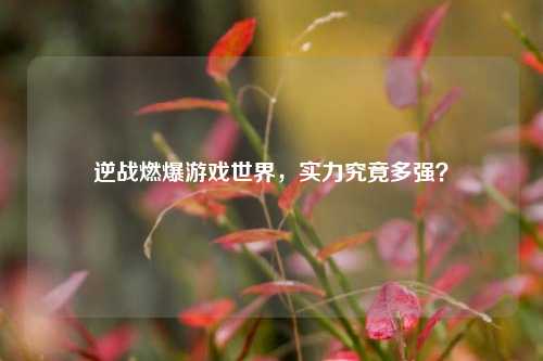 逆战燃爆游戏世界,实力究竟多强?
