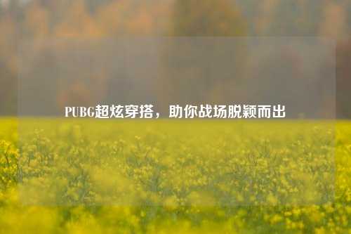 PUBG超炫穿搭,助你战场脱颖而出