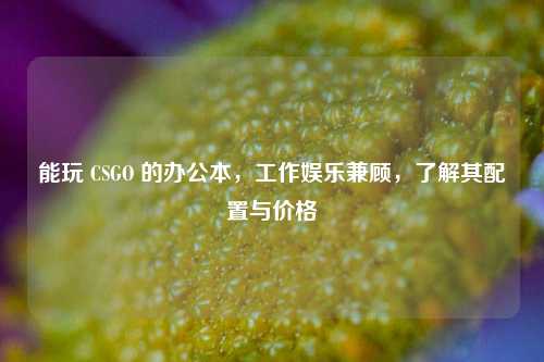 能玩 CSGO 的办公本，工作娱乐兼顾，了解其配置与价格