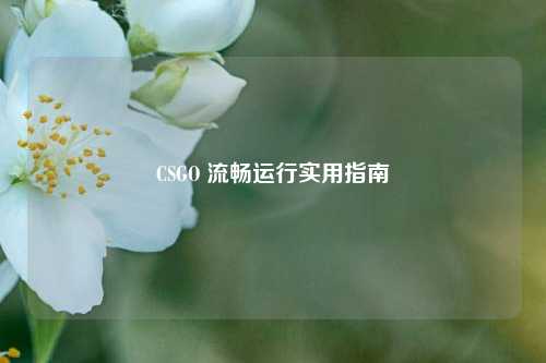 CSGO 流畅运行实用指南
