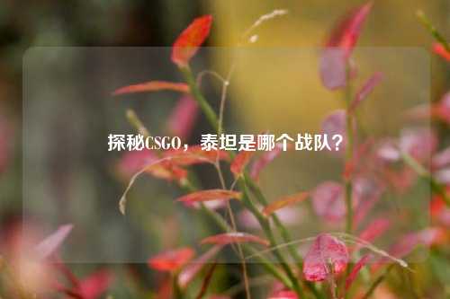 探秘CSGO,泰坦是哪个战队?