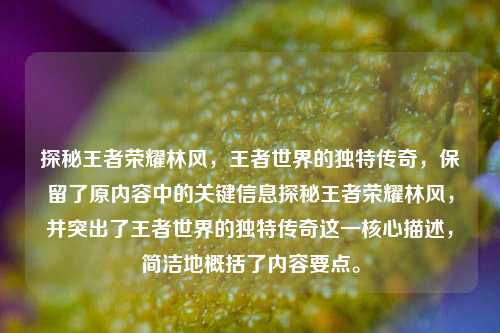 探秘王者荣耀林风,王者世界的独特传奇,保留了原内容中的关键信息探秘王者荣耀林风,并突出了王者世界的独特传奇这一核心描述,简洁地概括了内容要点。
