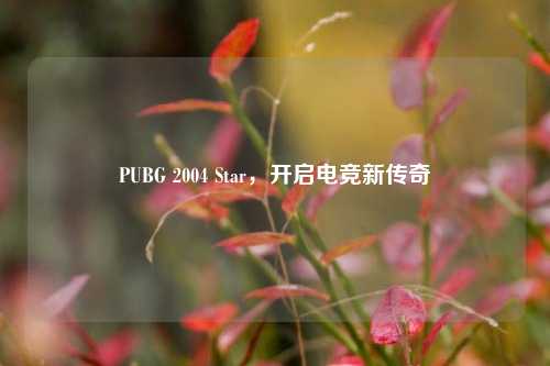 PUBG 2004 Star，开启电竞新传奇