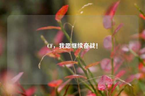 CF,我愿继续奋战!