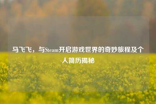 马飞飞,与Steam开启游戏世界的奇妙旅程及个人简历揭秘