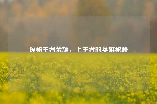 探秘王者荣耀,上王者的英雄秘籍