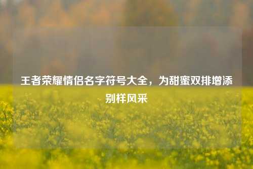 王者荣耀情侣名字符号大全,为甜蜜双排增添别样风采