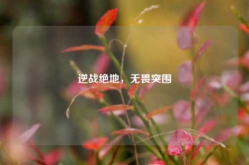 逆战绝地,无畏突围
