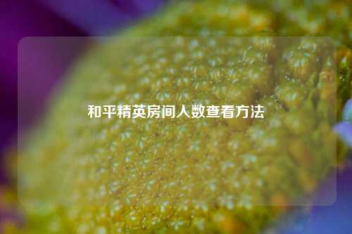 和平精英房间人数查看方法