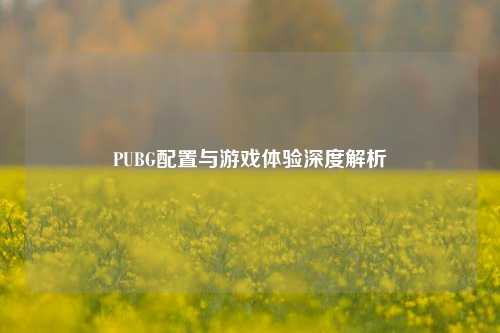 PUBG配置与游戏体验深度解析