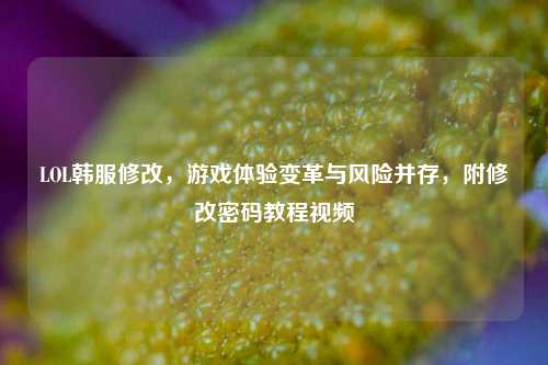 LOL韩服修改，游戏体验变革与风险并存，附修改密码教程视频
