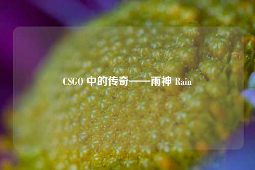 CSGO 中的传奇——雨神 Rain