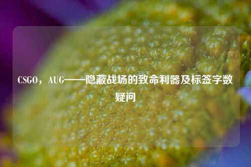 CSGO，AUG——隐蔽战场的致命利器及标签字数疑问