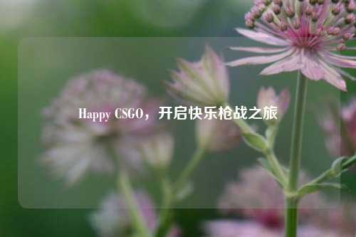 Happy CSGO，开启快乐枪战之旅