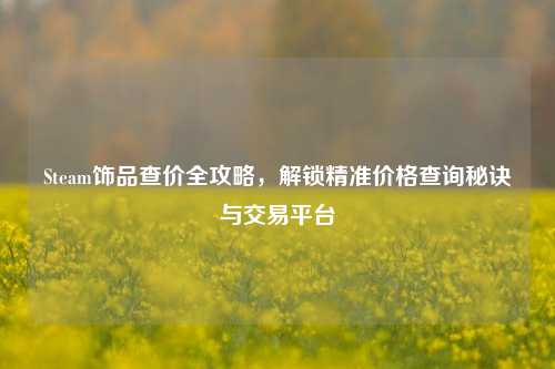 Steam饰品查价全攻略，解锁精准价格查询秘诀与交易平台