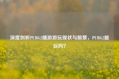 深度剖析PUBG2端游游玩现状与前景,PUBG2能玩吗?