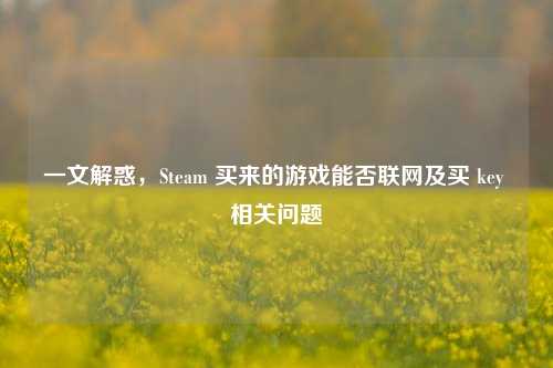 一文解惑,Steam 买来的游戏能否联网及买 key 相关问题