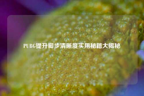 PUBG提升脚步清晰度实用秘籍大揭秘