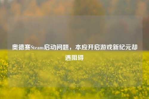奥德赛Steam启动问题,本应开启游戏新纪元却遇阻碍