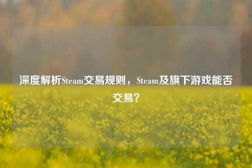 深度解析Steam交易规则,Steam及旗下游戏能否交易?