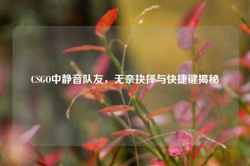 CSGO中静音队友,无奈抉择与快捷键揭秘