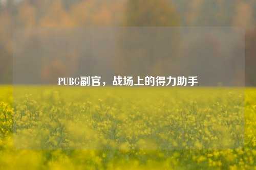 PUBG副官，战场上的得力助手