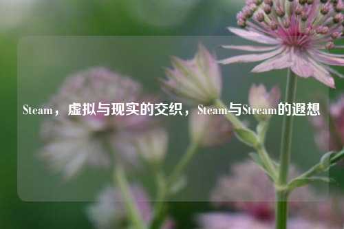 Steam,虚拟与现实的交织,Steam与Stream的遐想