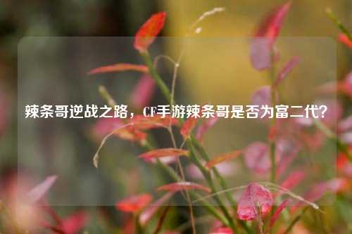 辣条哥逆战之路,CF手游辣条哥是否为富二代?