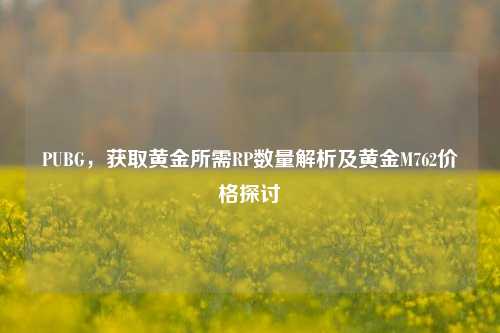 PUBG，获取黄金所需RP数量解析及黄金M762价格探讨