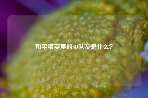 和平精英里的SD队友是什么?