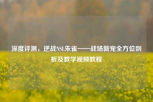 深度评测,逆战NSL朱雀——战场新宠全方位剖析及教学视频教程