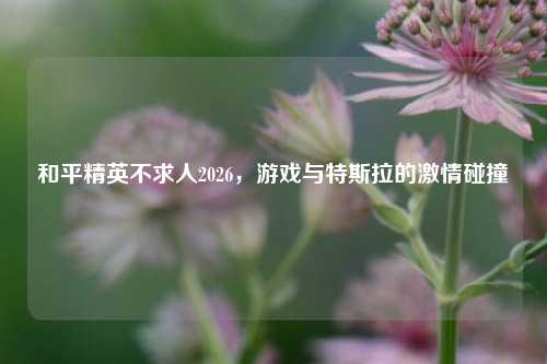 和平精英不求人2026,游戏与特斯拉的激情碰撞