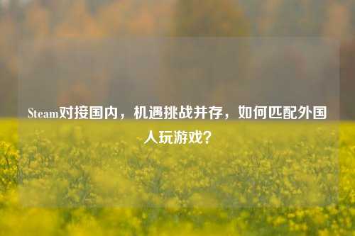 Steam对接国内,机遇挑战并存,如何匹配外国人玩游戏?