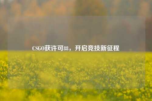 CSGO获许可88，开启竞技新征程