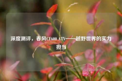 深度测评，春风CF600 ATV——越野世界的实力担当