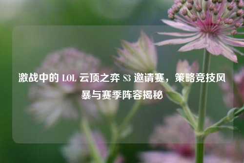 激战中的 LOL 云顶之弈 S3 邀请赛,策略竞技风暴与赛季阵容揭秘