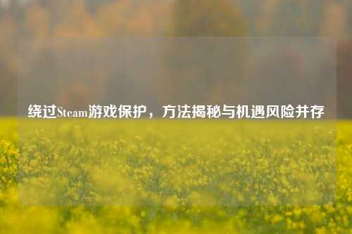 绕过Steam游戏保护,方法揭秘与机遇风险并存